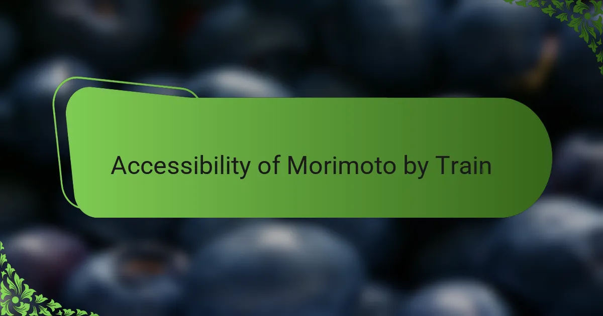 Accessibility of Morimoto by Train