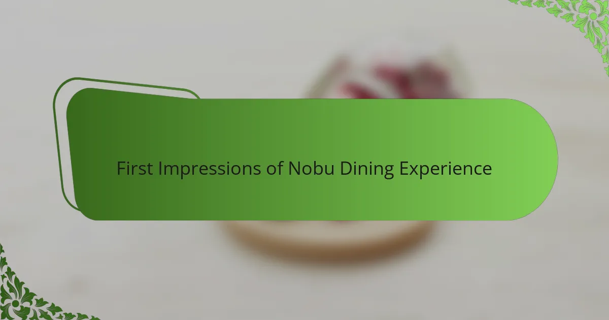 First Impressions of Nobu Dining Experience