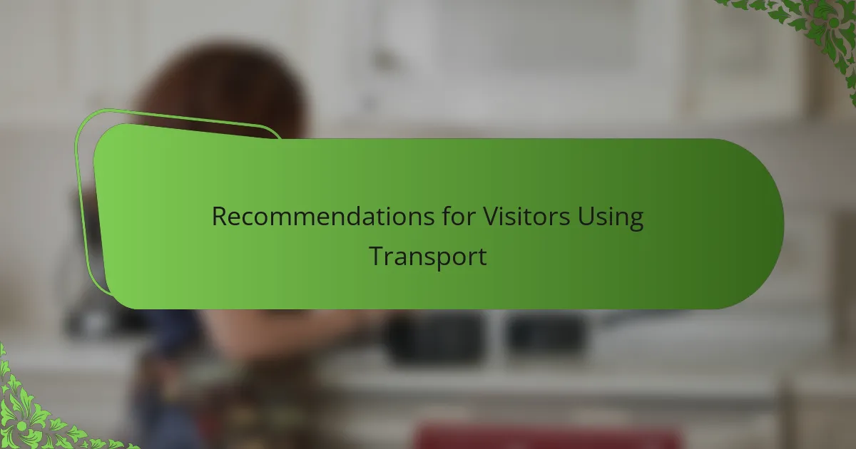 Recommendations for Visitors Using Transport