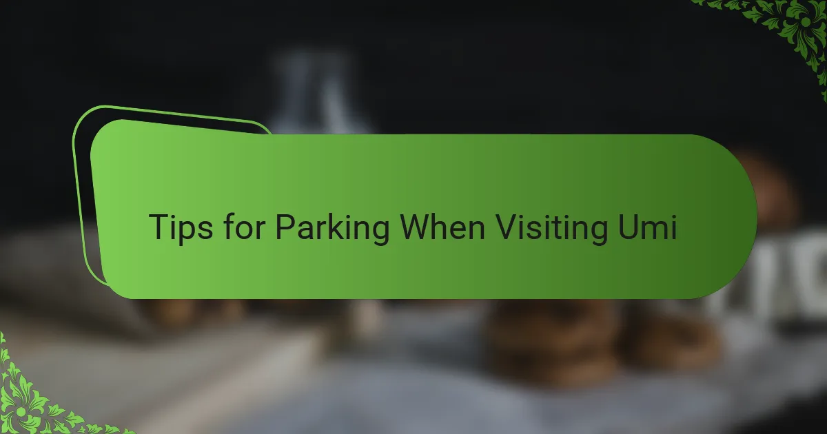 Tips for Parking When Visiting Umi