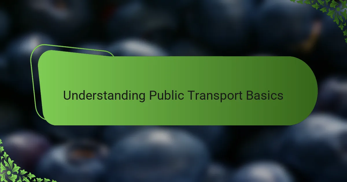 Understanding Public Transport Basics